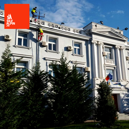 Toaletare arbori și liftări